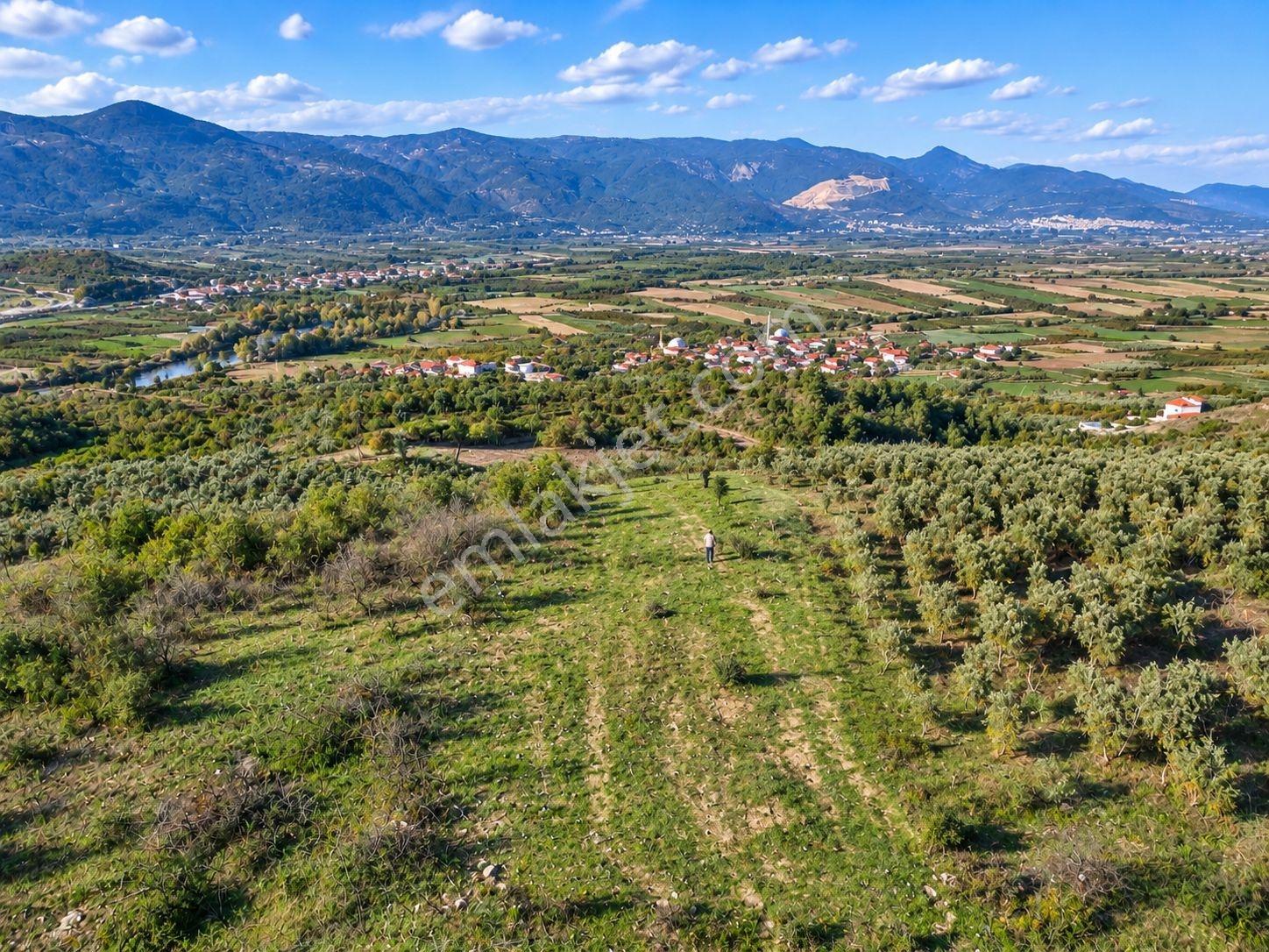 Geyve Osmaneli Sınırı 2390 M2 Bağ Nitelik Panoramik Manzaralı — fotoğraf 30