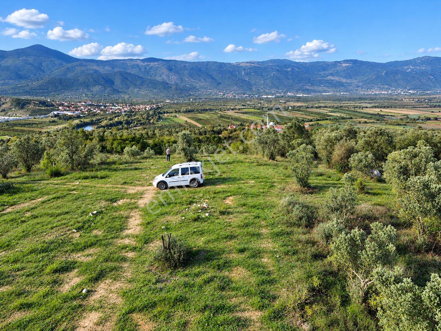 Geyve Osmaneli Sınırı 2390 M2 Bağ Nitelik Panoramik Manzaralı — fotoğraf 32