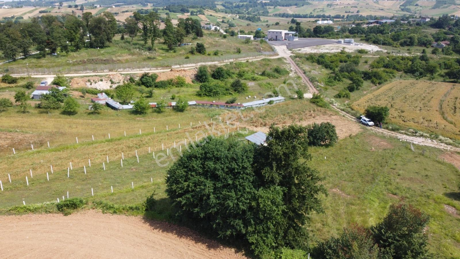 Taşcı Gayrimenkulden Kocaeli Kandıra Balcı Mah. Satılık Arazi — fotoğraf 3