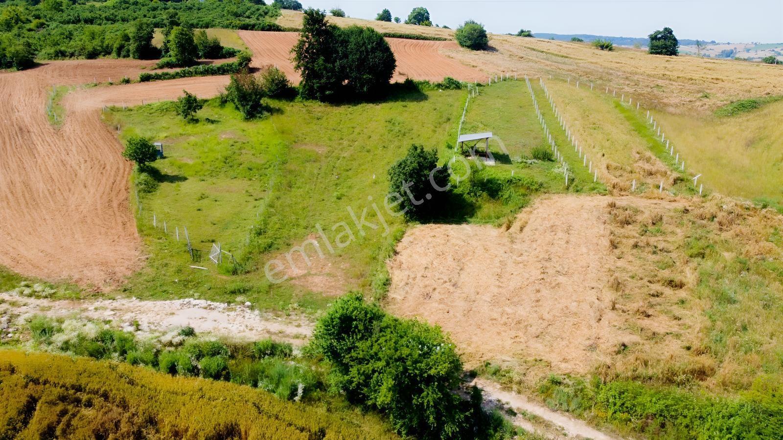 Taşcı Gayrimenkulden Kocaeli Kandıra Balcı Mah. Satılık Arazi — fotoğraf 21