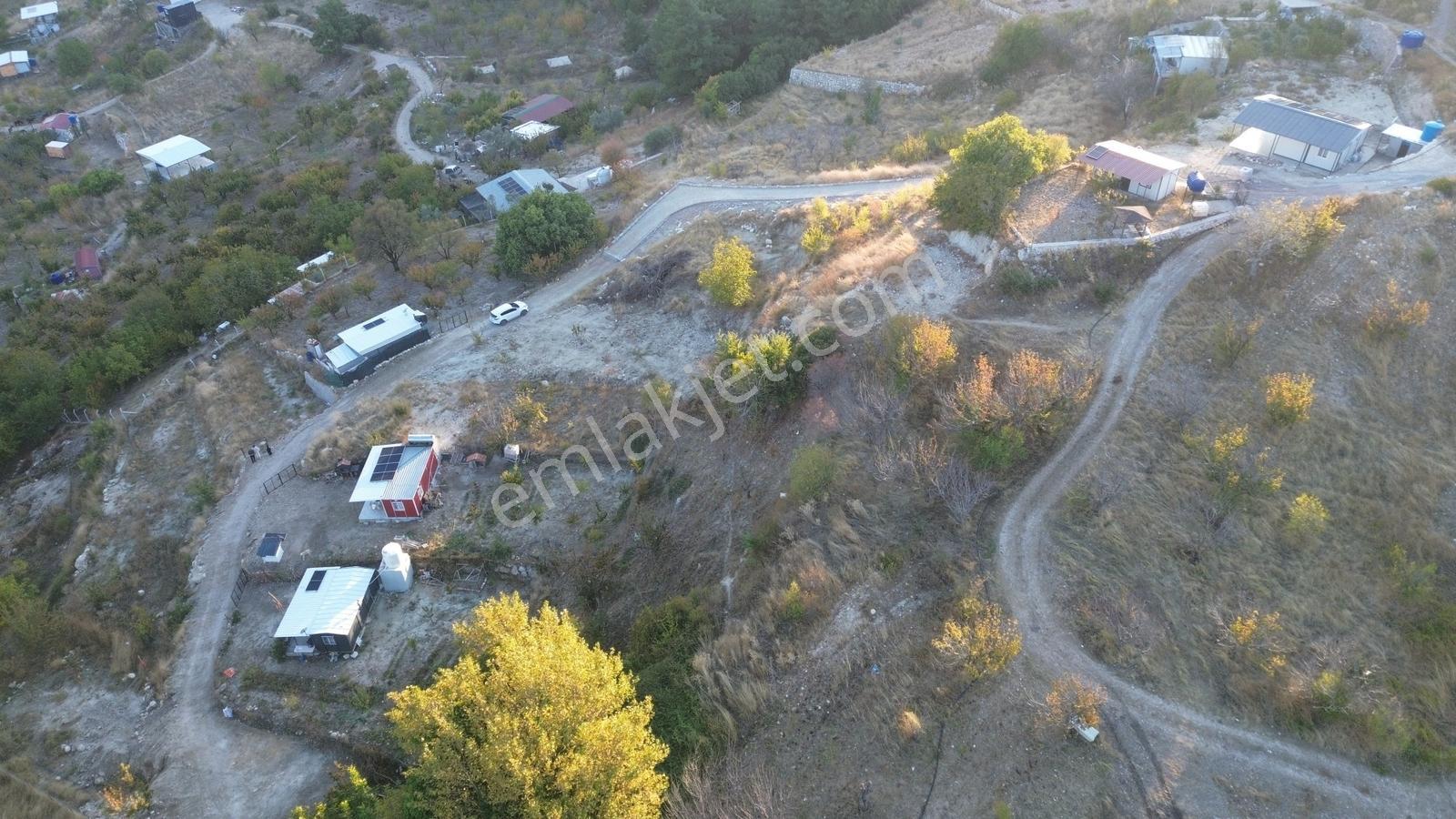 Erzden Bornova Yakaköyde Konteyner Ve Verandalı 460 M² Bahçe — fotoğraf 13