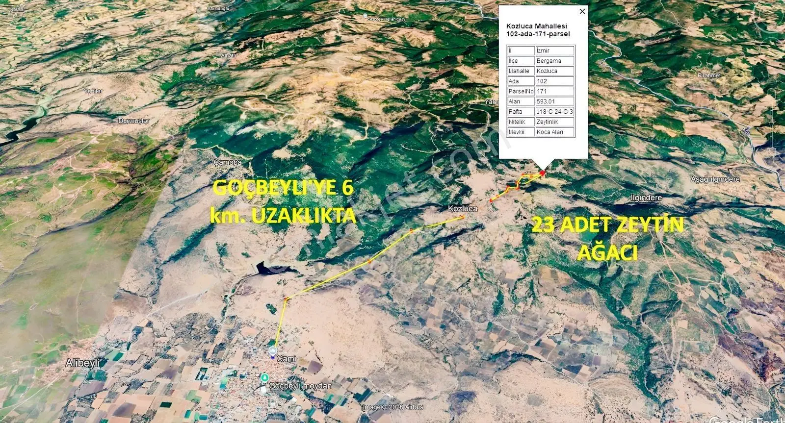 Zeytinyağını Kendin Çıkar — fotoğraf 2