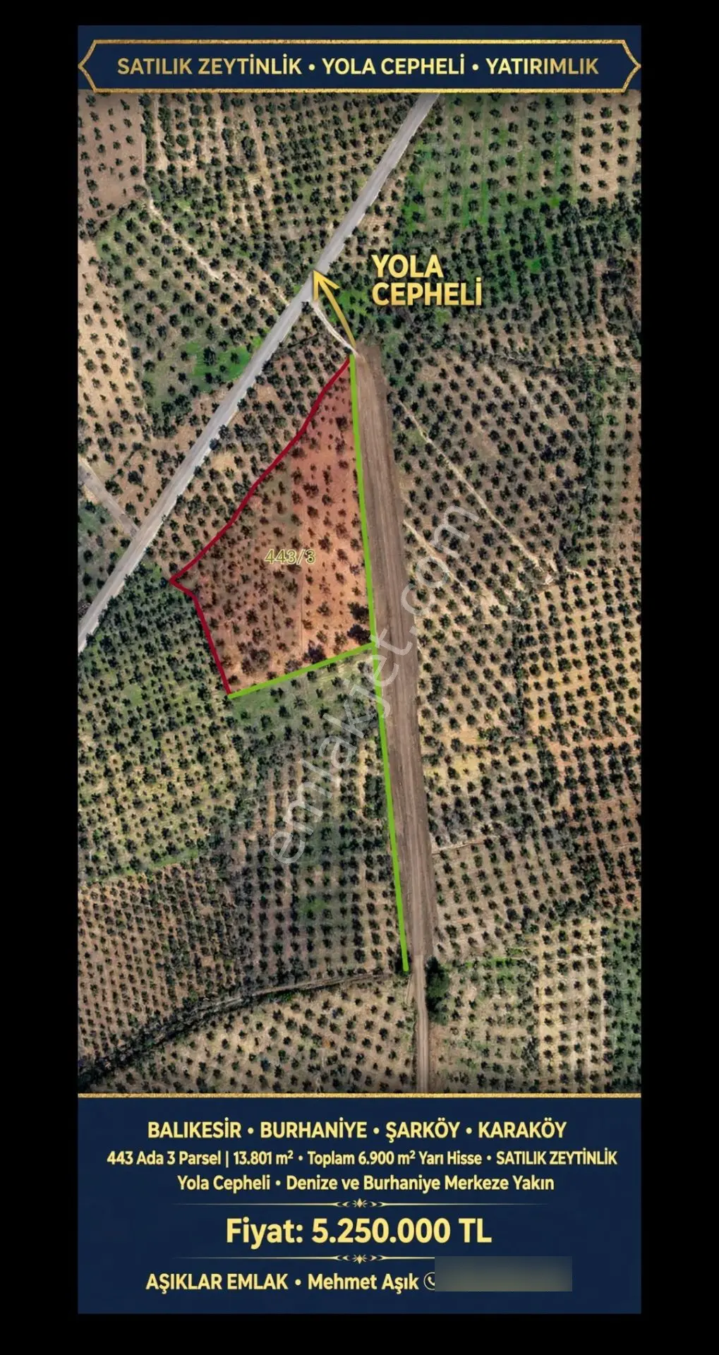 Balıkesir Burhaniye Şarköy Karaköy'de Yolu Olan 6.900m² Satılık Yarı Hisseli Zeytinlik — fotoğraf 4