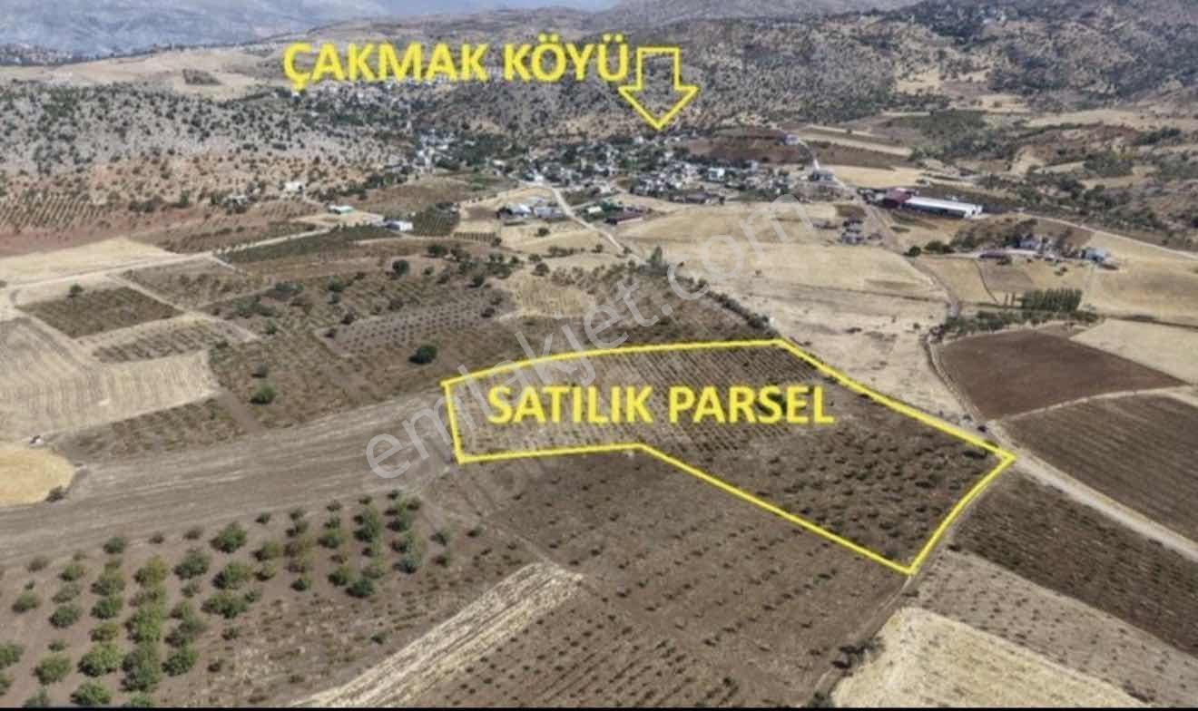 Bir Emlak'tan Satılık Bağ Bahçe — fotoğraf 9
