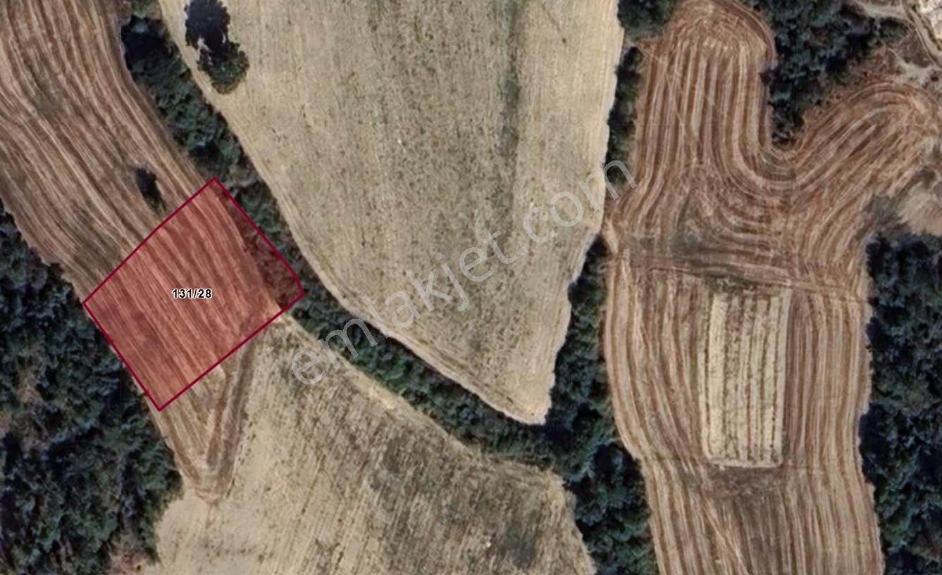 Rw/Detay | Bolu Göynük Karacalarda 1.753 M² Tarla Fırsatı