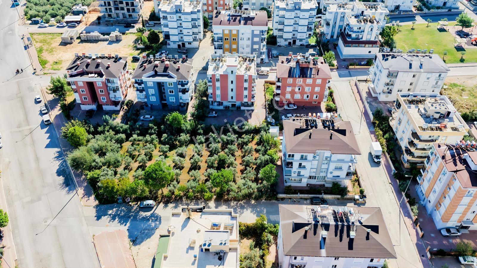 Kepez Aktoprakta Kapalı Balkonlu Zeytinlik Manzaralı 3+1 Daire — fotoğraf 30