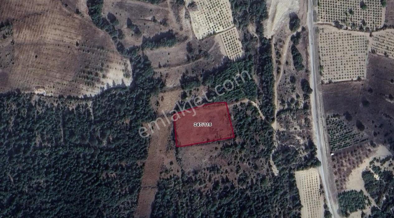 Max Prıme | Baklan Boğaziçi 4.538 M² Yatırımlık Fırsat Arazi — fotoğraf 2