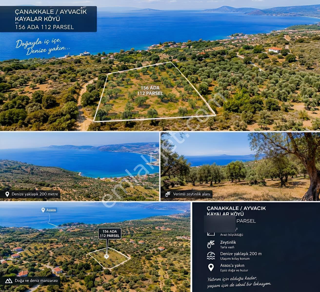 Asosta Denize Yakın Ve Full Deniz Manzaralı 2023 M2 Zeytinlik