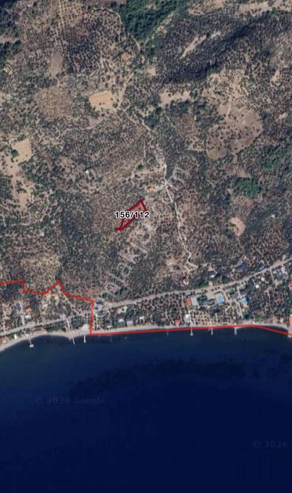 Asosta Denize Yakın Ve Full Deniz Manzaralı 2023 M2 Zeytinlik — fotoğraf 2