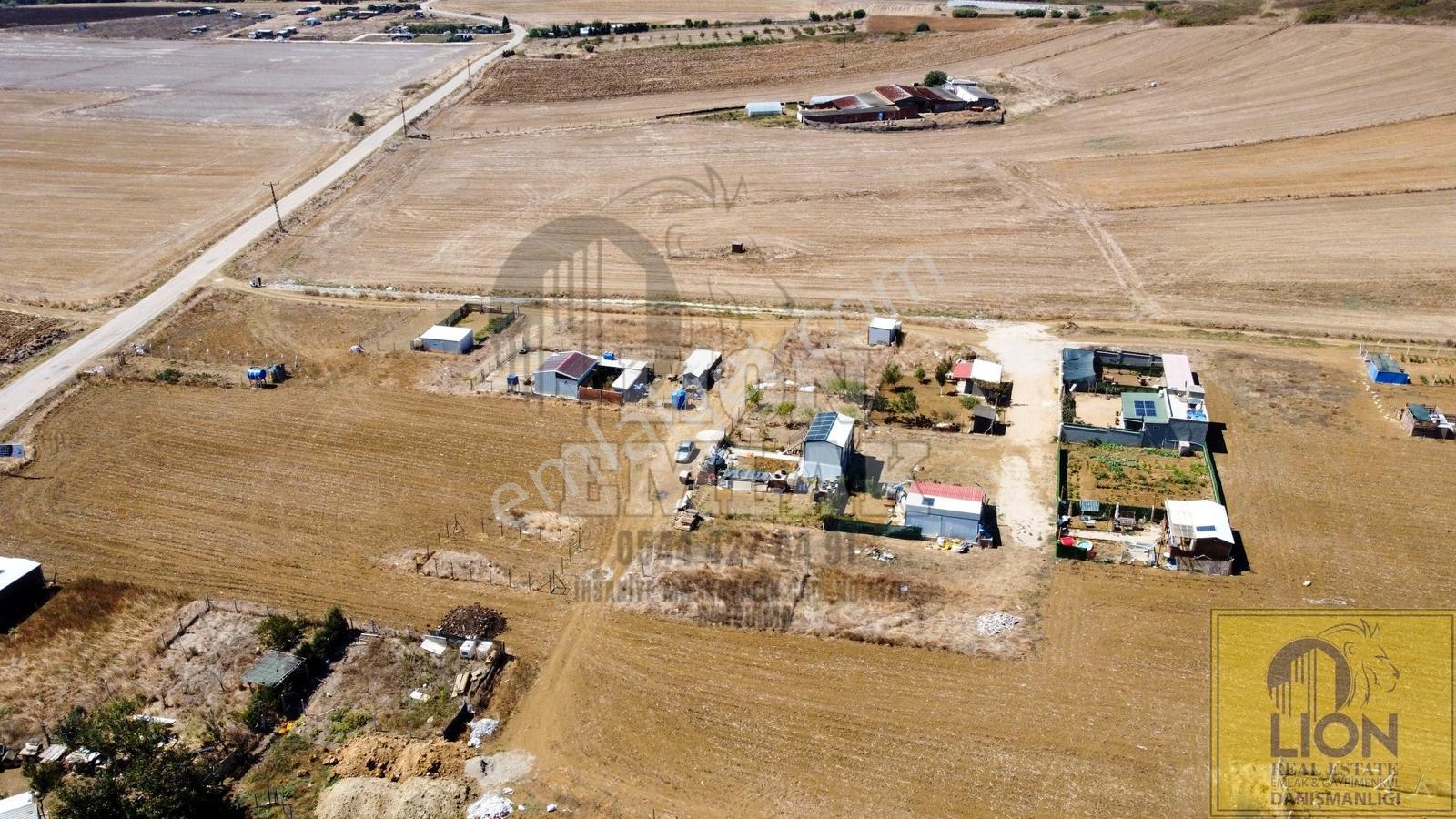 Lıon Emlak'tan Kayacık'ta Yola Yakın Fırsat Arsa — fotoğraf 9