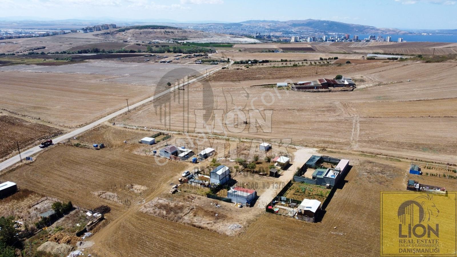 Lıon Emlak'tan Kayacık'ta Yola Yakın Fırsat Arsa — fotoğraf 10