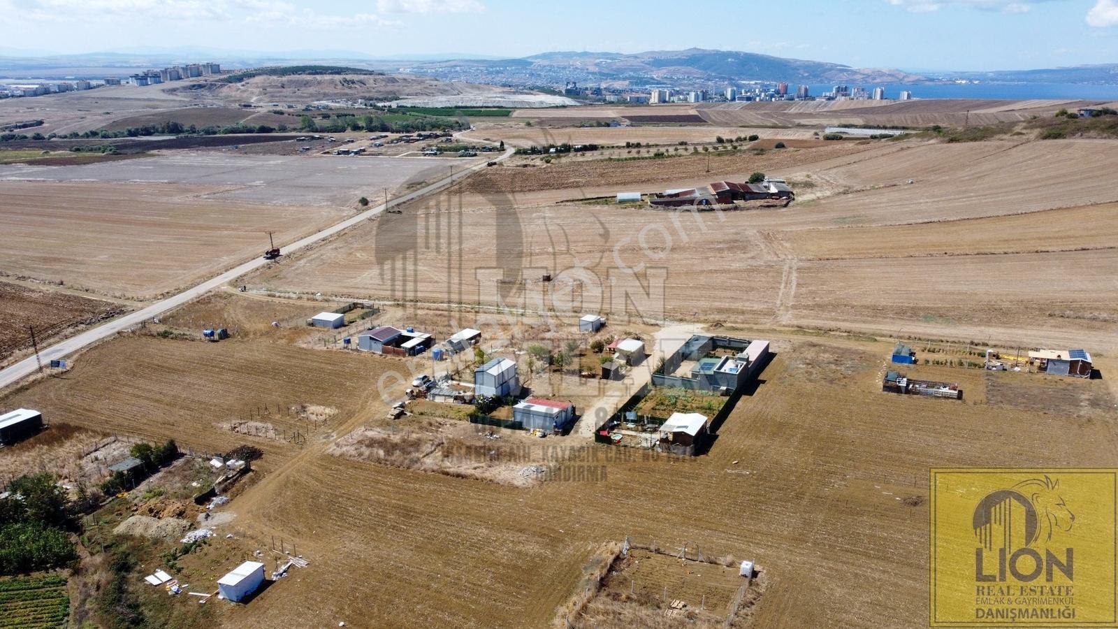 Lıon Emlak'tan Kayacık'ta Yola Yakın Fırsat Arsa — fotoğraf 12
