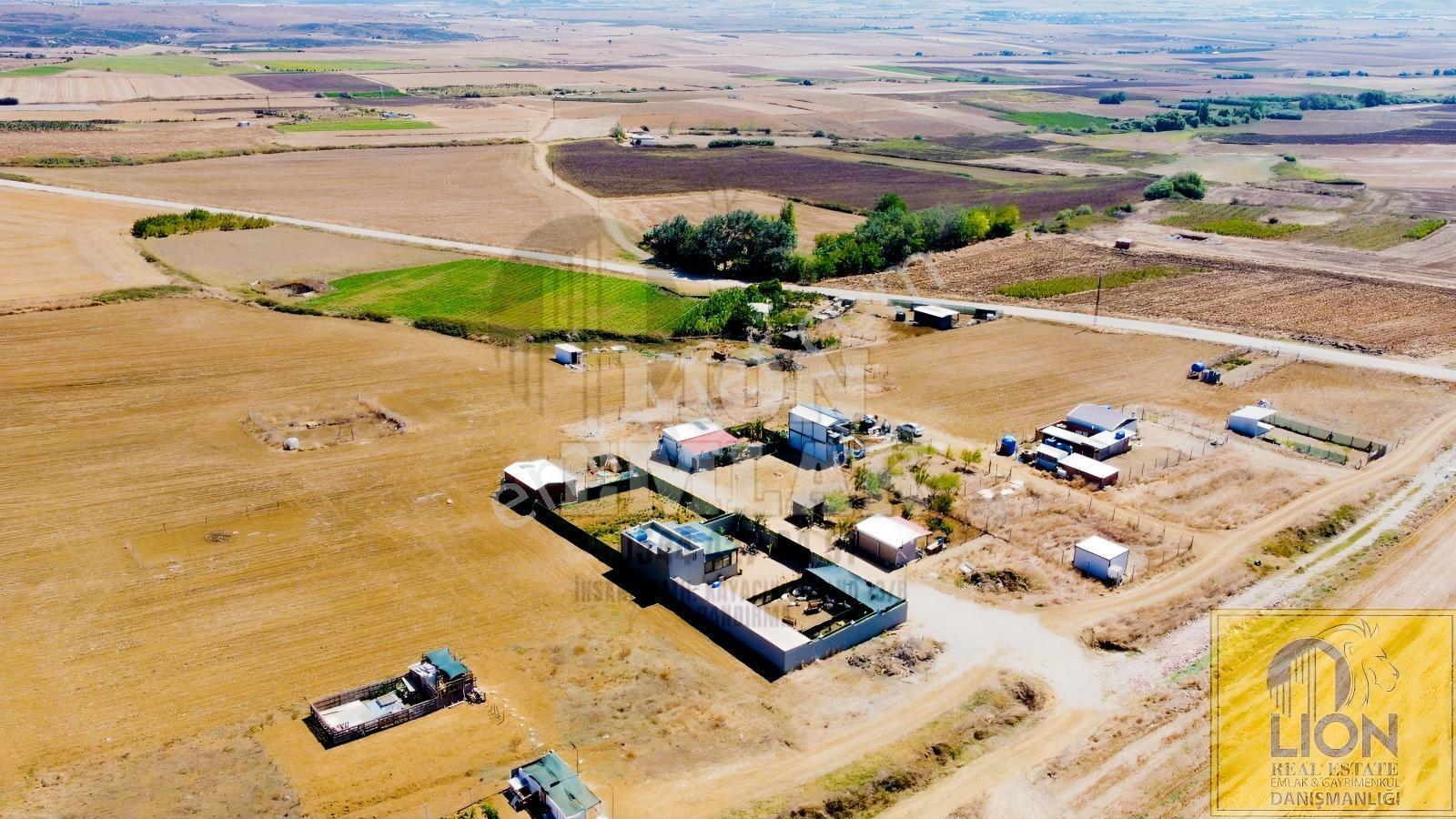 Lıon Emlak'tan Kayacık'ta Yola Yakın Fırsat Arsa — fotoğraf 13