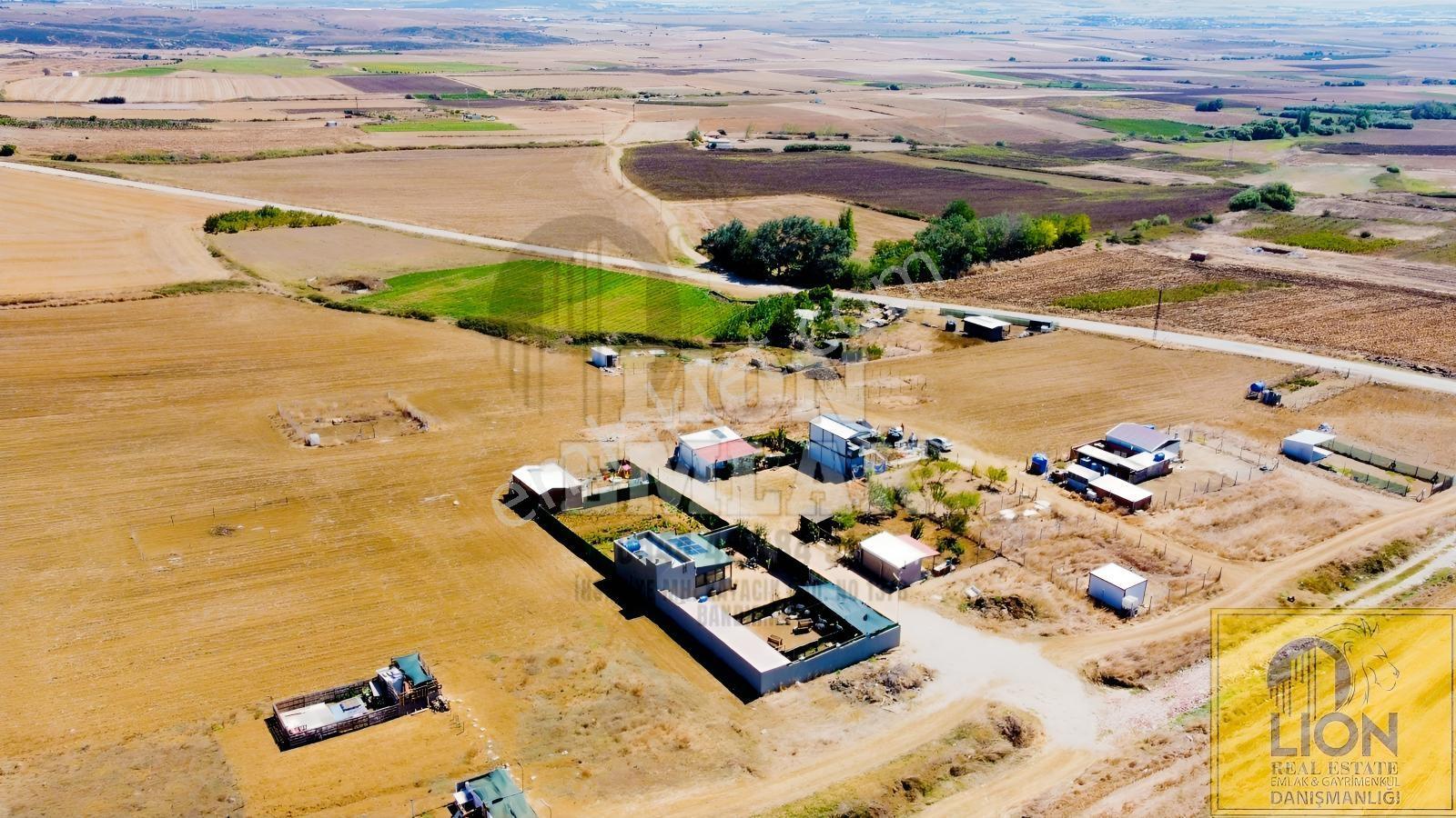 Lıon Emlak'tan Kayacık'ta Yola Yakın Fırsat Arsa — fotoğraf 14