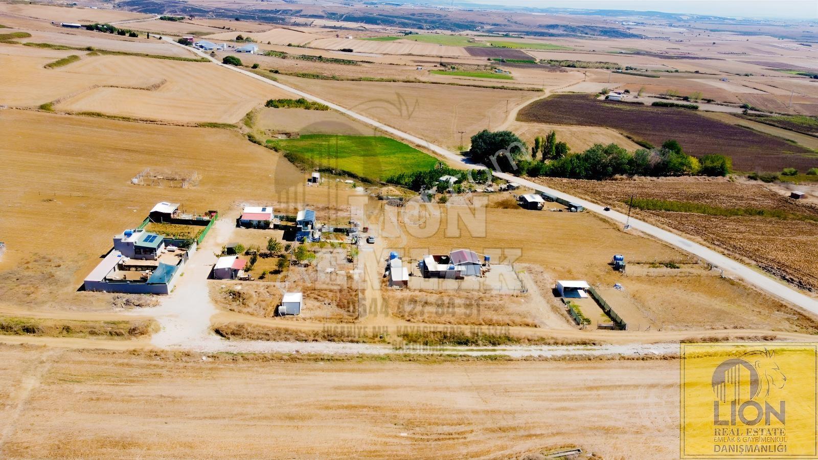 Lıon Emlak'tan Kayacık'ta Yola Yakın Fırsat Arsa — fotoğraf 23
