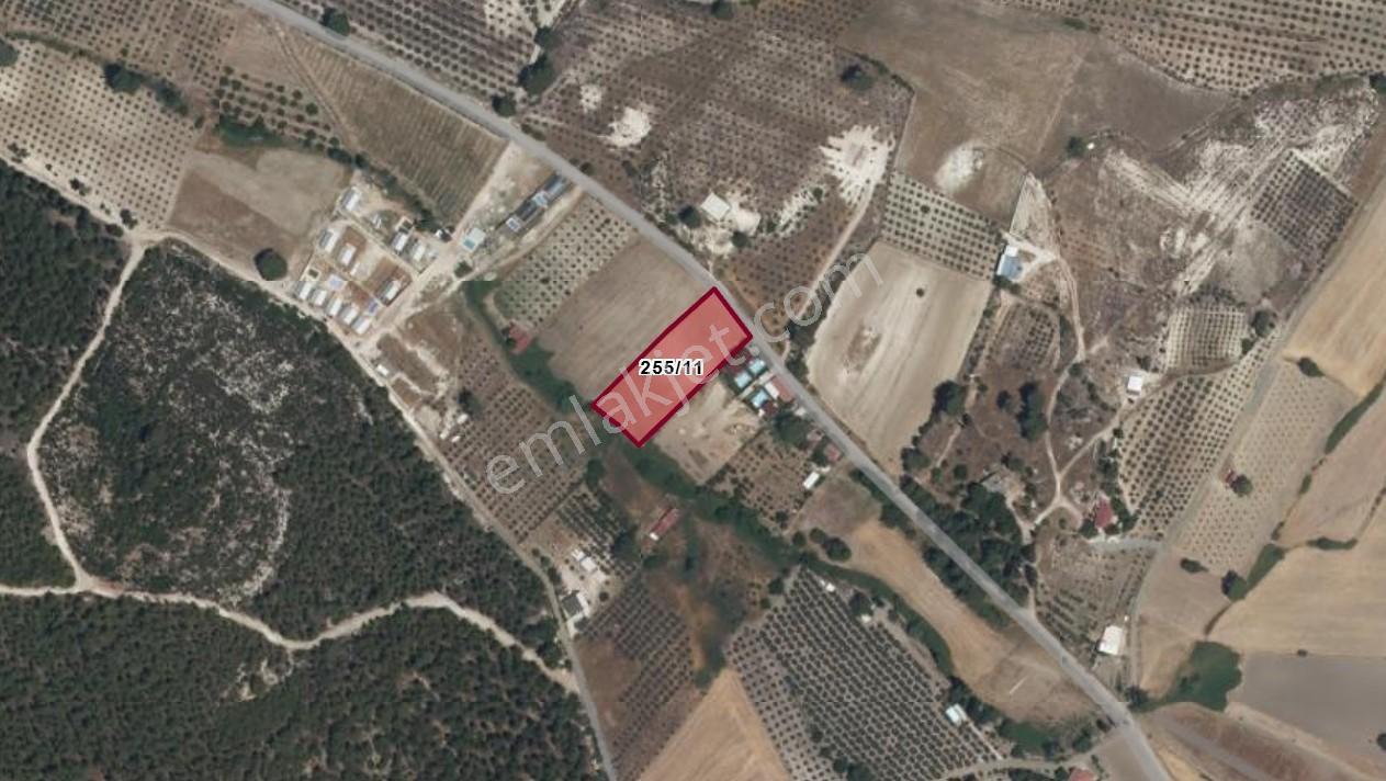 Seydikemer Kayadibi'nde, Müstakil Tapulu - Satılık 3362 M² Arazi — fotoğraf 8