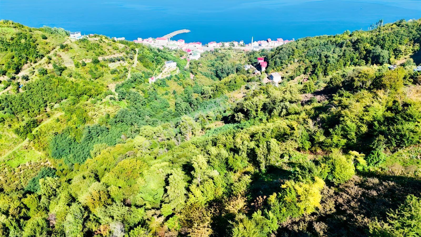 Mabel'Den Akçaabat Mersin'De Satılık Arazi