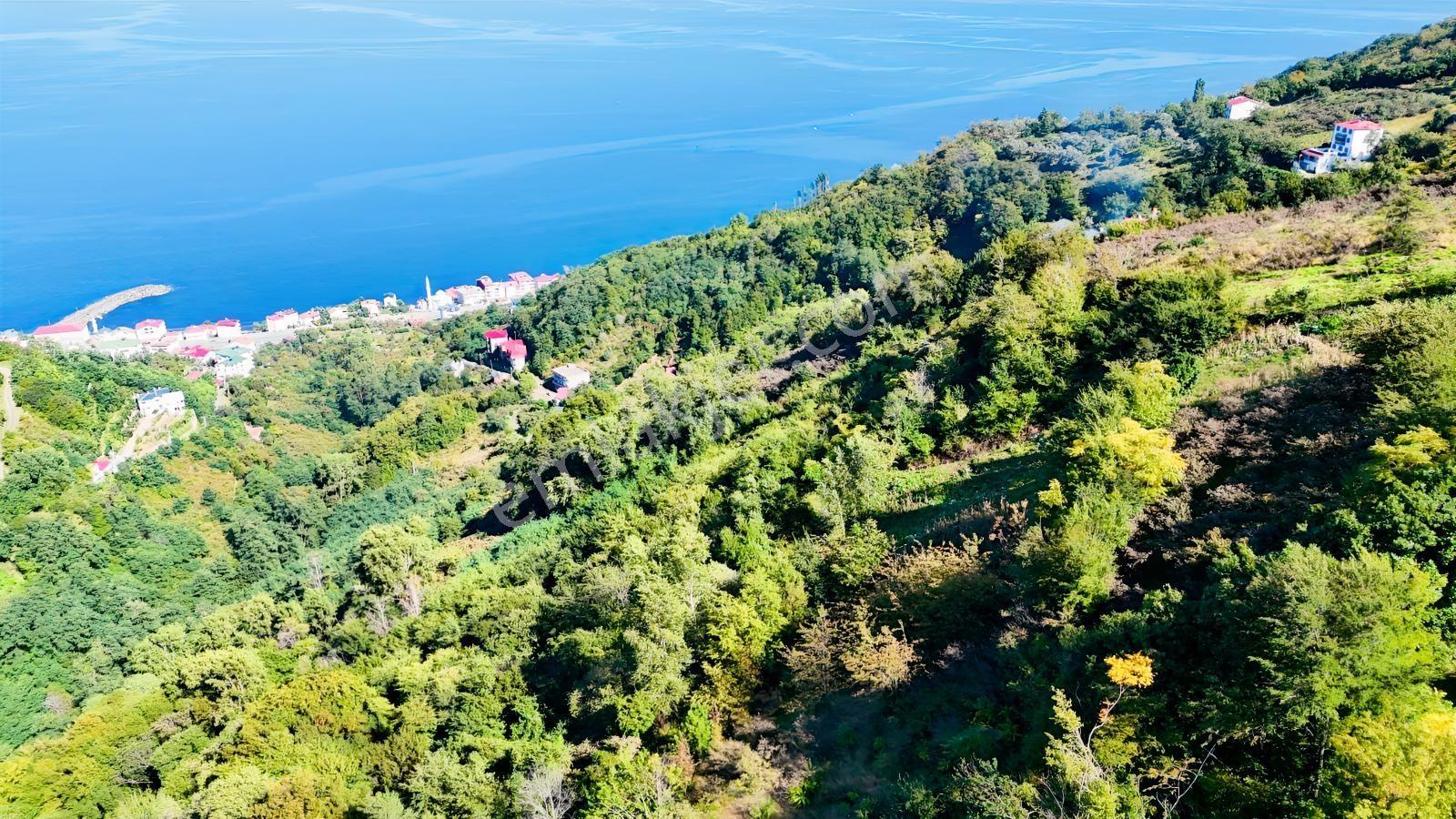Mabel'den Akçaabat Mersin'de Satılık Arazi — fotoğraf 2