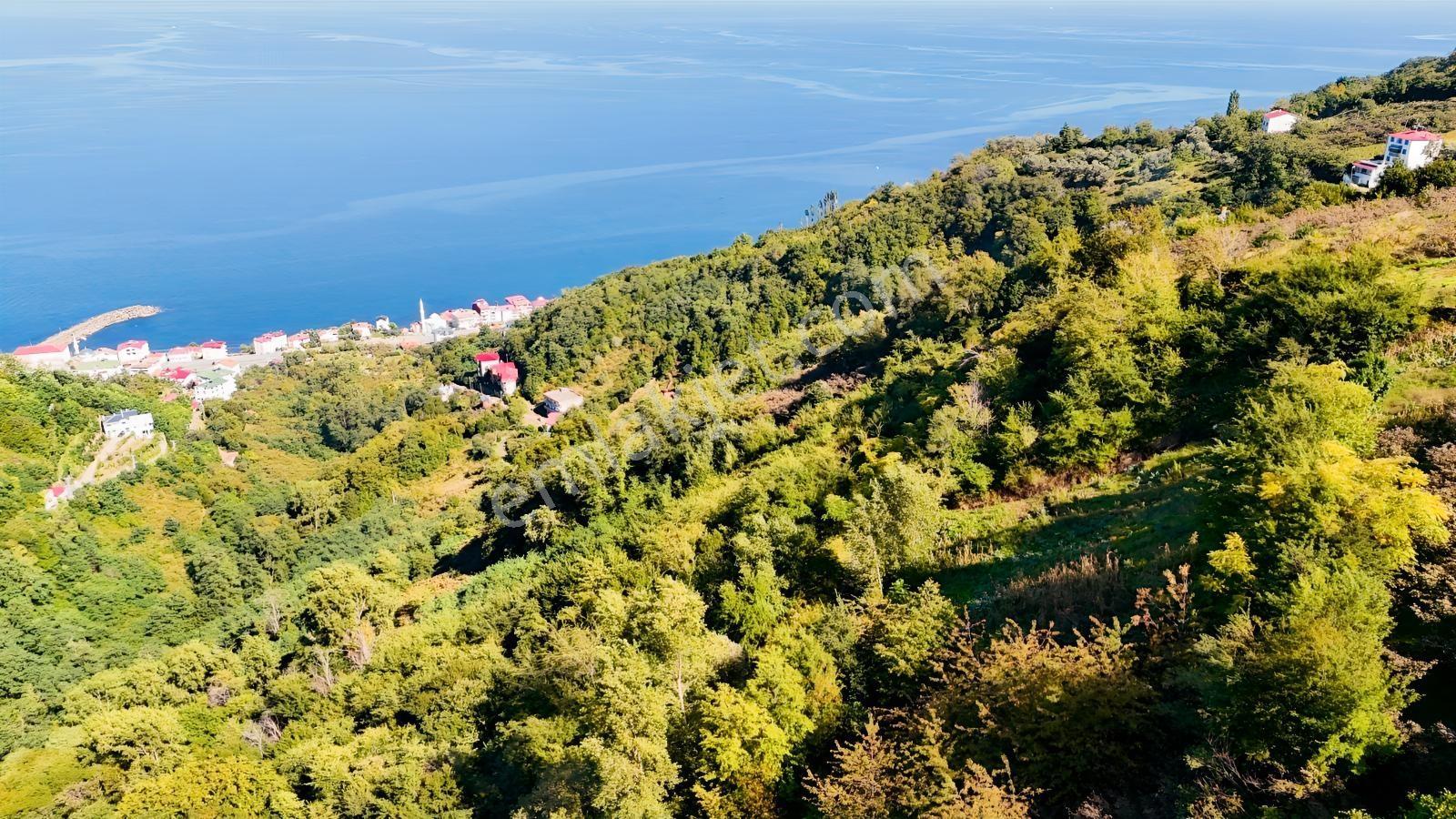 Mabel'den Akçaabat Mersin'de Satılık Arazi — fotoğraf 3