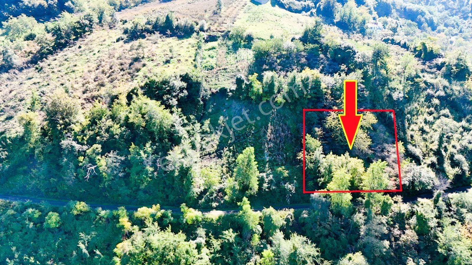 Mabel'den Akçaabat Mersin'de Satılık Arazi — fotoğraf 5