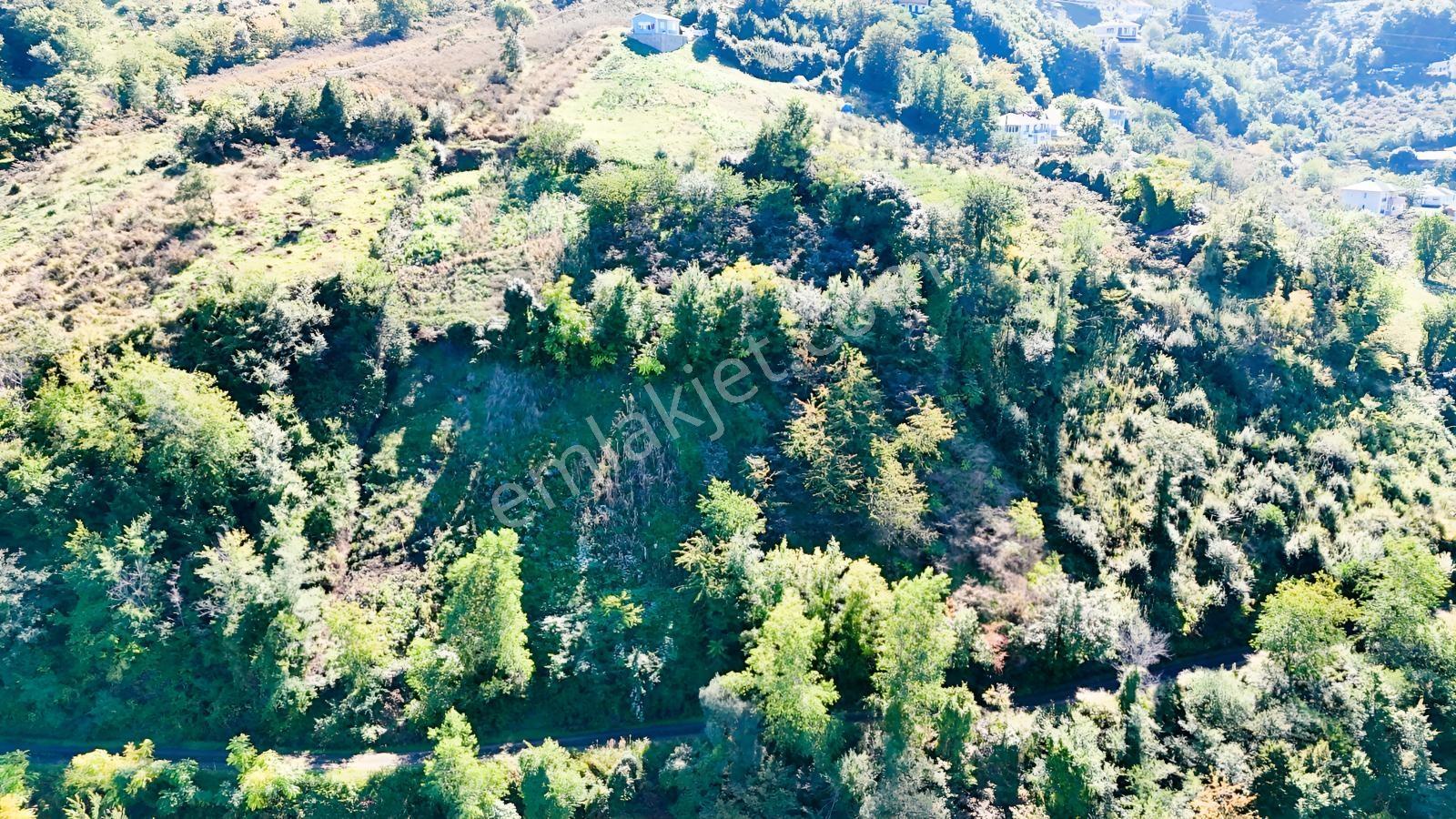 Mabel'den Akçaabat Mersin'de Satılık Arazi — fotoğraf 7