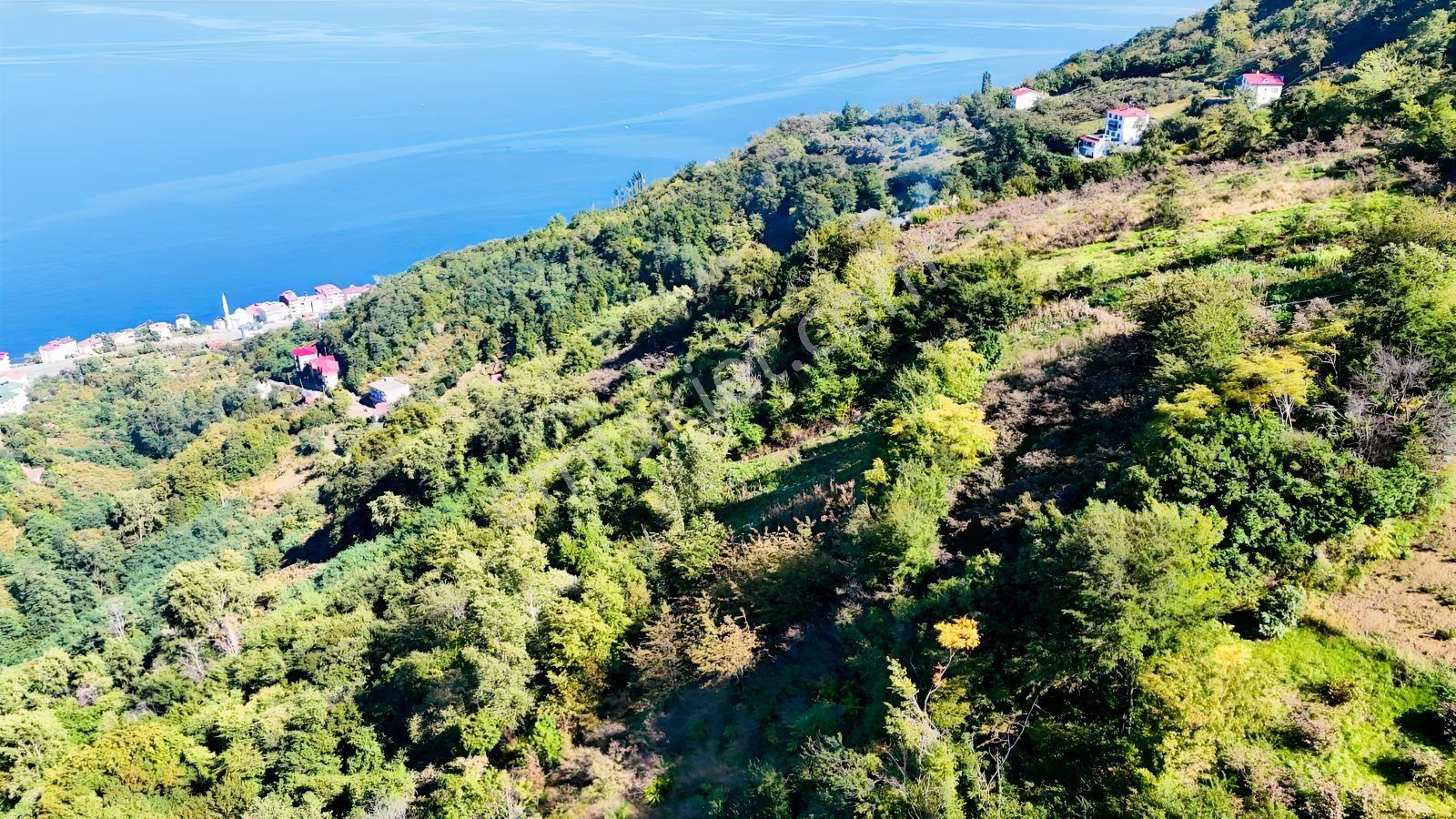 Mabel'den Akçaabat Mersin'de Satılık Arazi — fotoğraf 8