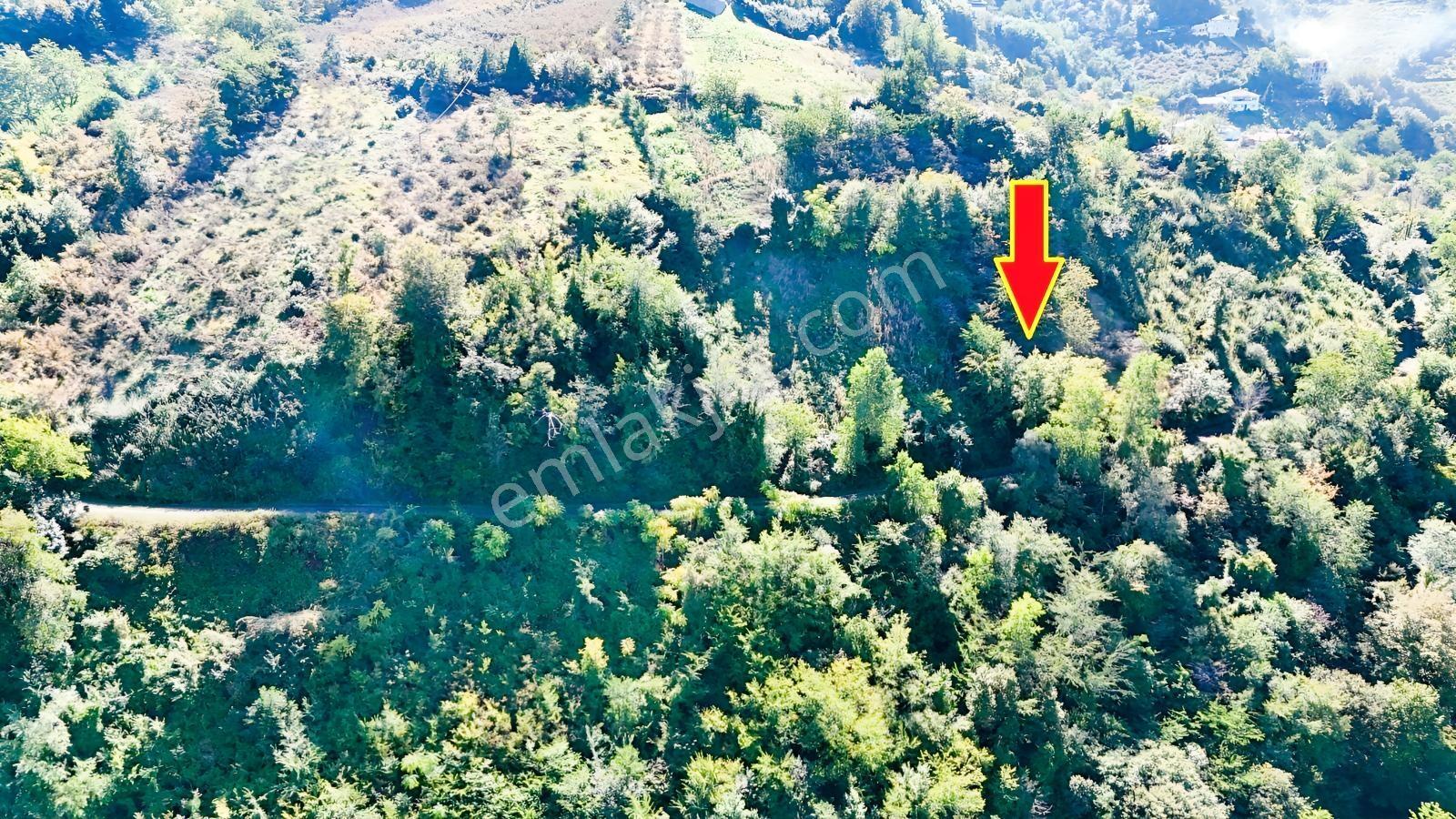 Mabel'den Akçaabat Mersin'de Satılık Arazi — fotoğraf 9