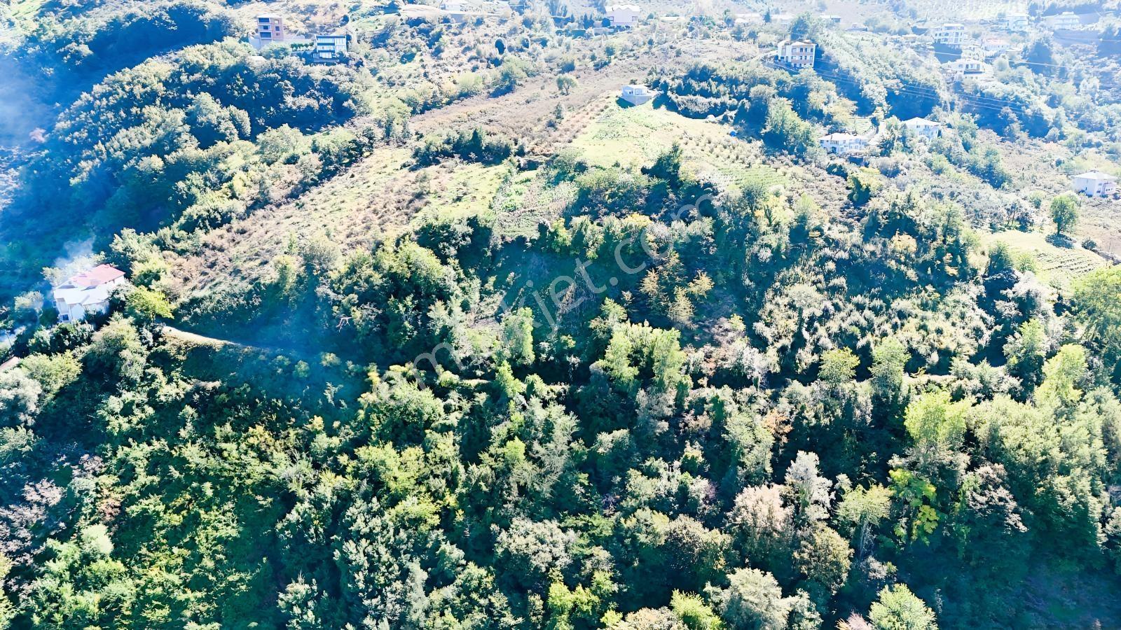 Mabel'den Akçaabat Mersin'de Satılık Arazi — fotoğraf 11