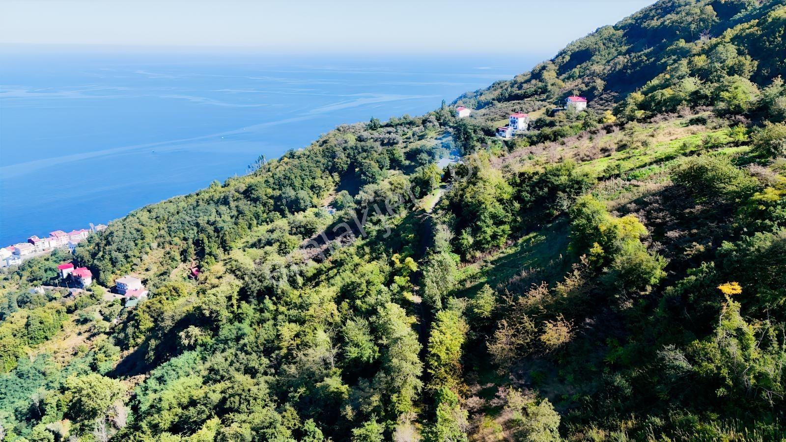 Mabel'den Akçaabat Mersin'de Satılık Arazi — fotoğraf 12