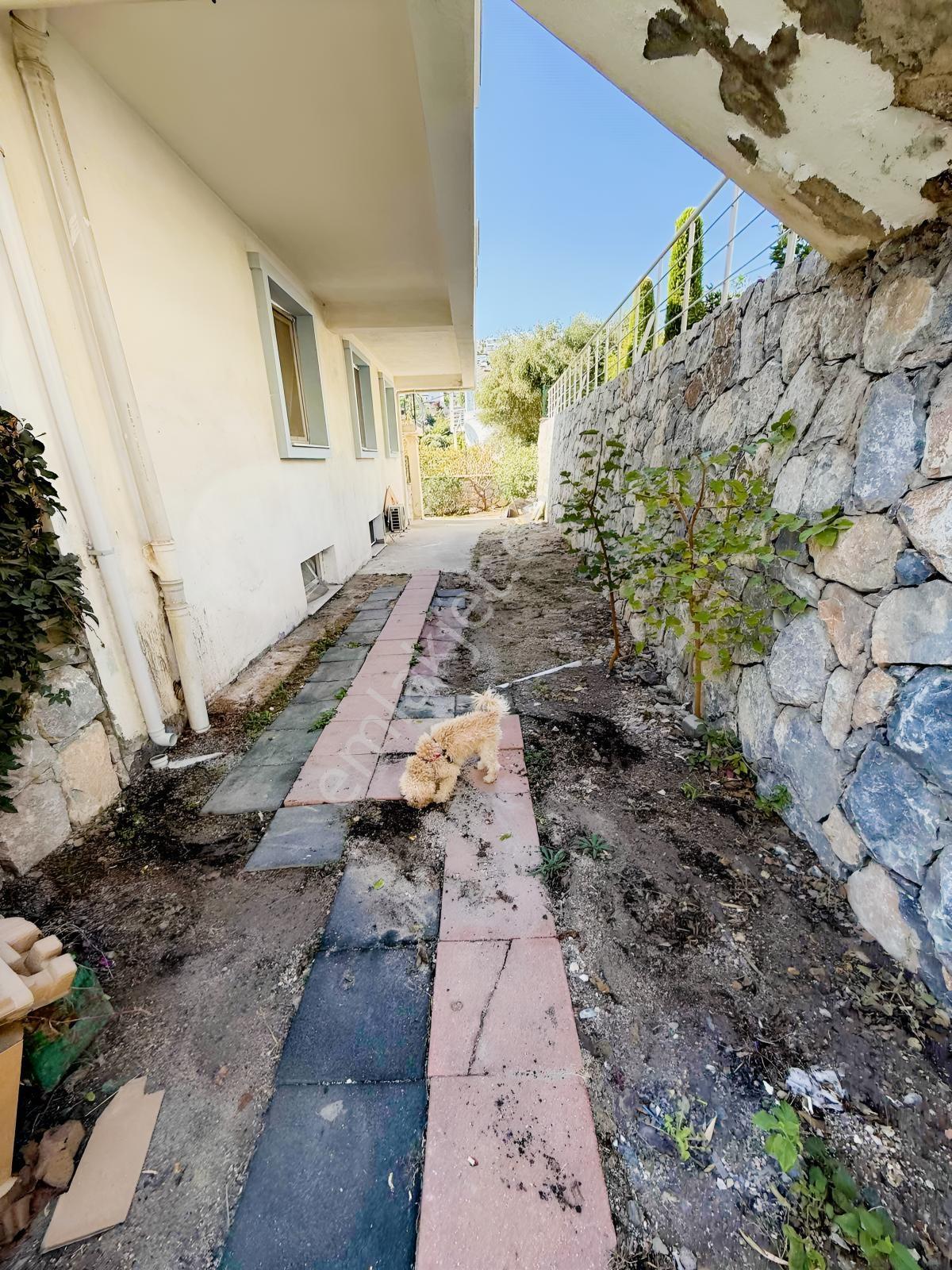 Bogazici Milas — fotoğraf 35
