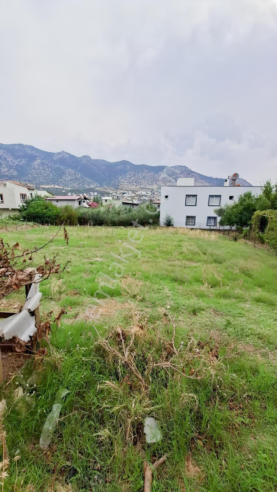 Kozan Gayrimenkulden Aglıboğazda 395 M2 Arsa — fotoğraf 3