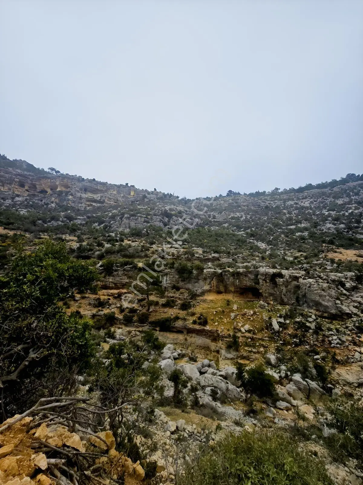 Silifke Bükdeğirmeni Köyünde Satılık Tarla — fotoğraf 2