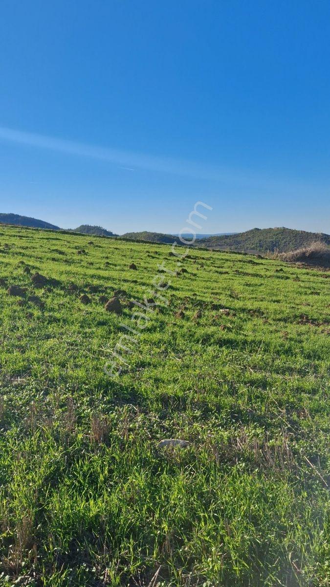 Osmaneli Medetli Köyü 1.850M2 Resmi Yolu Mevcut.Mustakil Parsel.