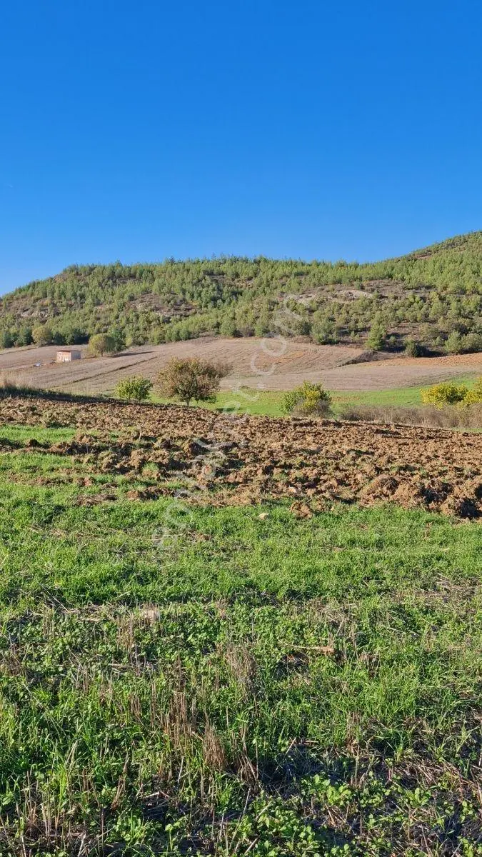 Osmaneli Medetli Köyü 1.850m2 Resmi Yolu Mevcut.mustakil Parsel. — fotoğraf 2