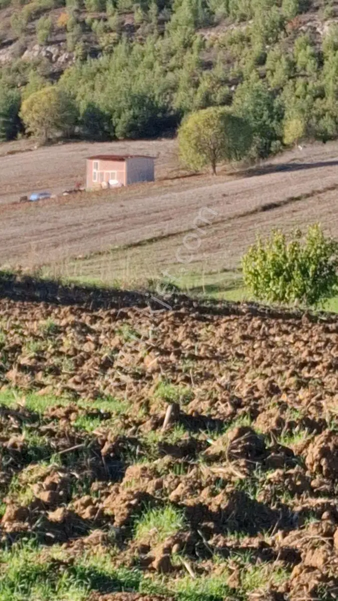 Osmaneli Medetli Köyü 1.850m2 Resmi Yolu Mevcut.mustakil Parsel. — fotoğraf 3