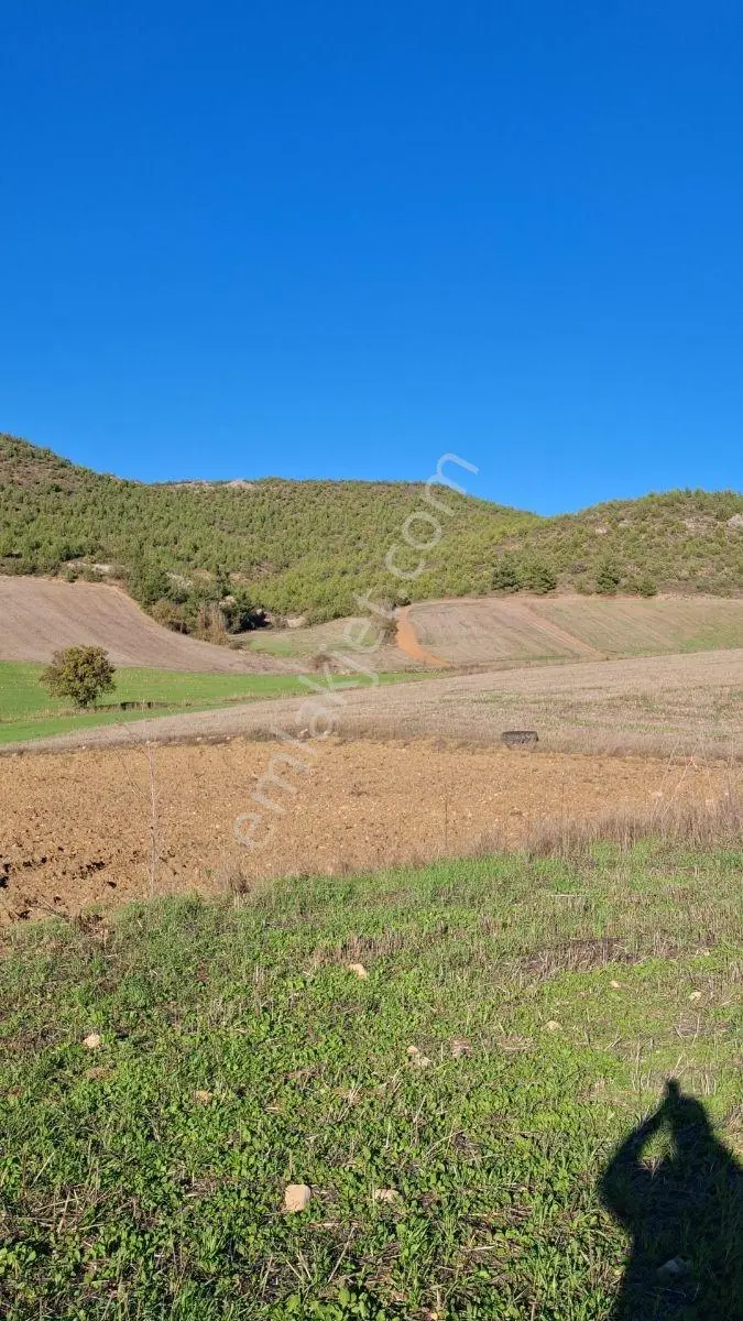 Osmaneli Medetli Köyü 1.850m2 Resmi Yolu Mevcut.mustakil Parsel. — fotoğraf 4