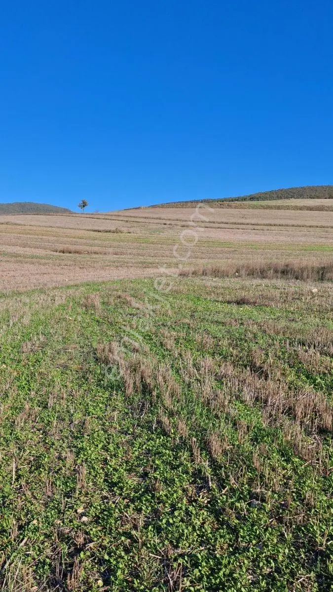 Osmaneli Medetli Köyü 1.850m2 Resmi Yolu Mevcut.mustakil Parsel. — fotoğraf 5