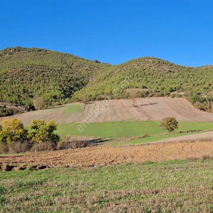 Osmaneli Medetli Köyü 1.850m2 Resmi Yolu Mevcut.mustakil Parsel. — fotoğraf 6