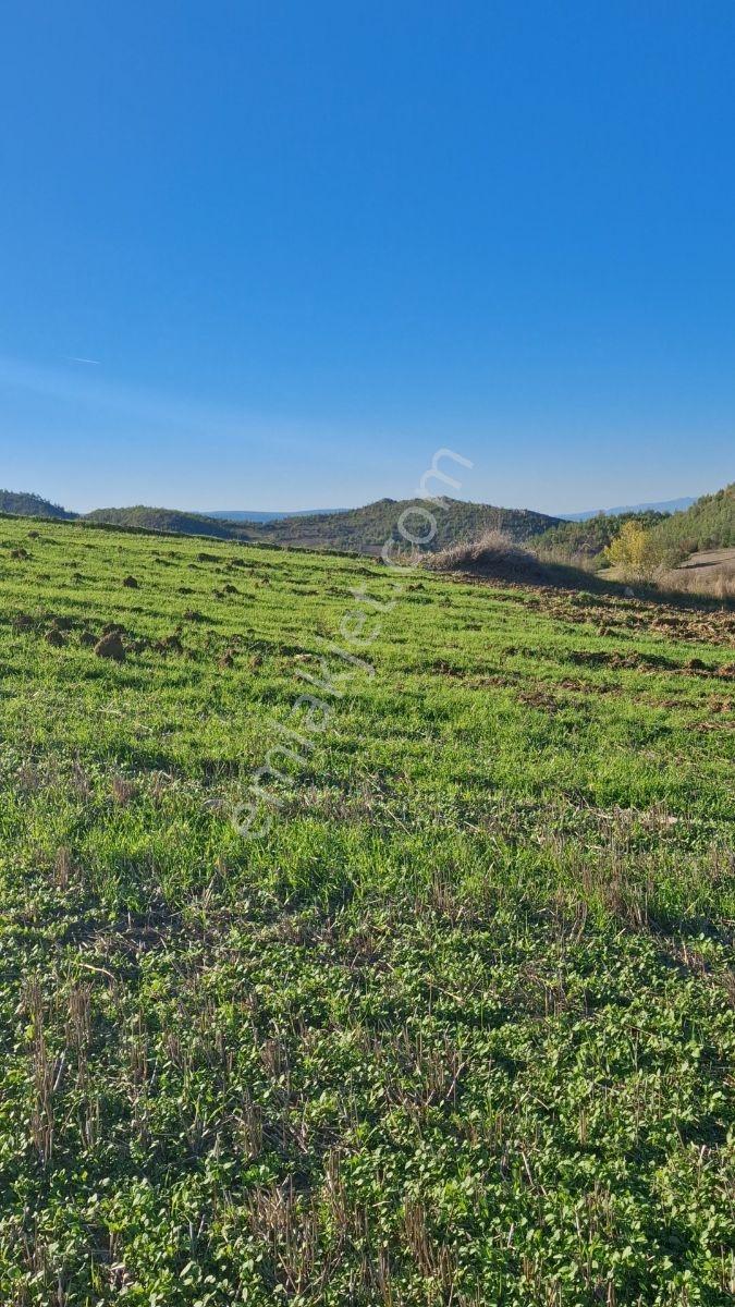 Osmaneli Medetli Köyü 1.850m2 Resmi Yolu Mevcut.mustakil Parsel. — fotoğraf 7