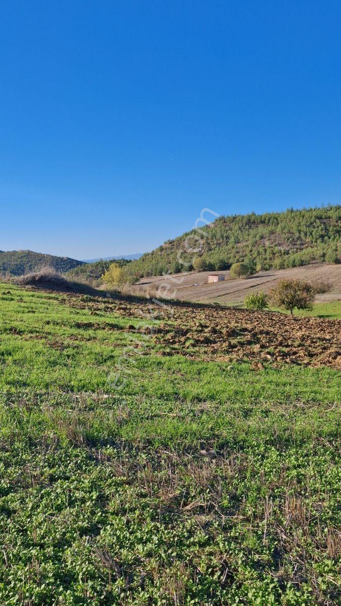 Osmaneli Medetli Köyü 1.850m2 Resmi Yolu Mevcut.mustakil Parsel. — fotoğraf 8