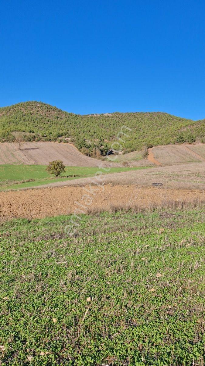 Osmaneli Medetli Köyü 1.850m2 Resmi Yolu Mevcut.mustakil Parsel. — fotoğraf 9