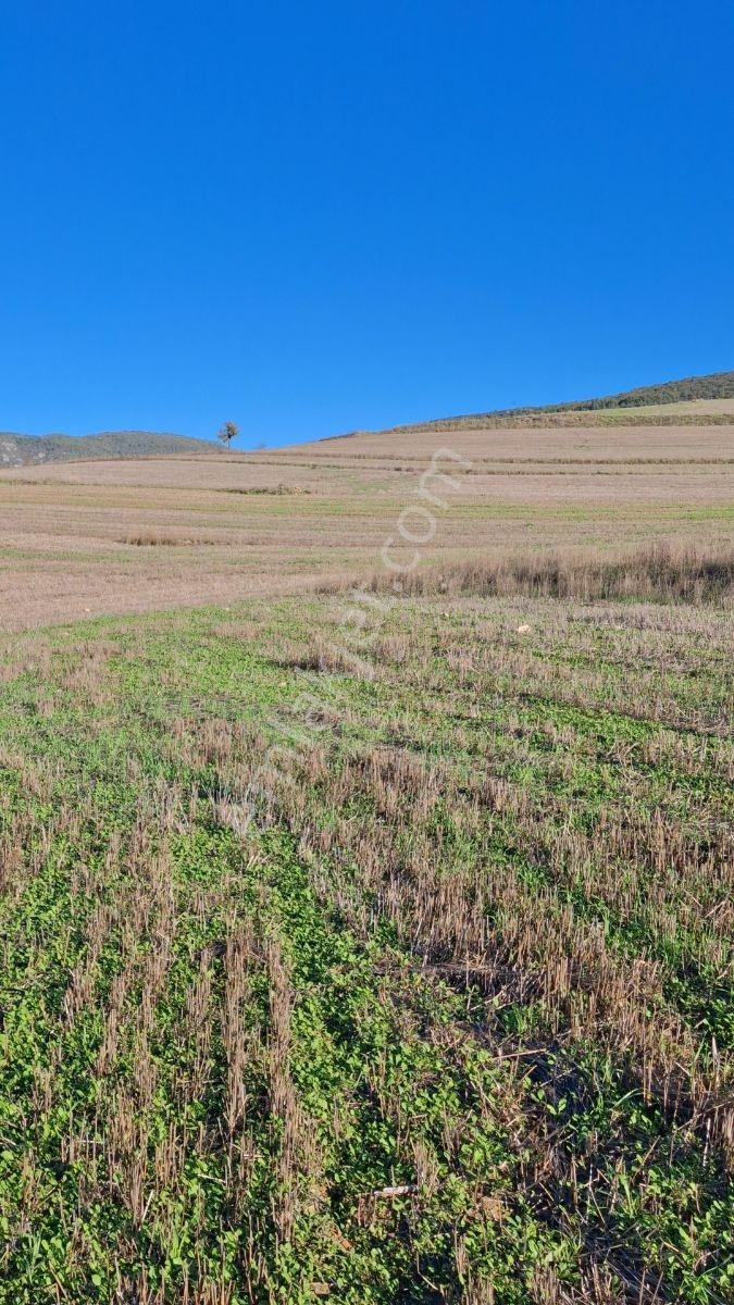 Osmaneli Medetli Köyü 1.850m2 Resmi Yolu Mevcut.mustakil Parsel. — fotoğraf 10