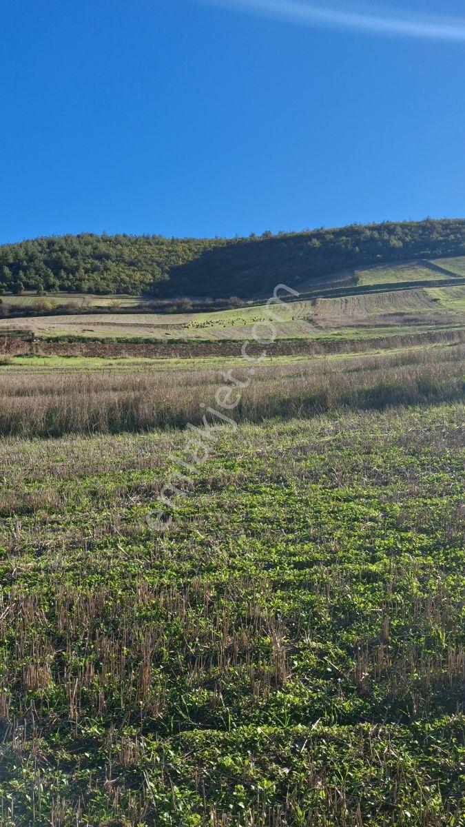 Osmaneli Medetli Köyü 1.850m2 Resmi Yolu Mevcut.mustakil Parsel. — fotoğraf 11