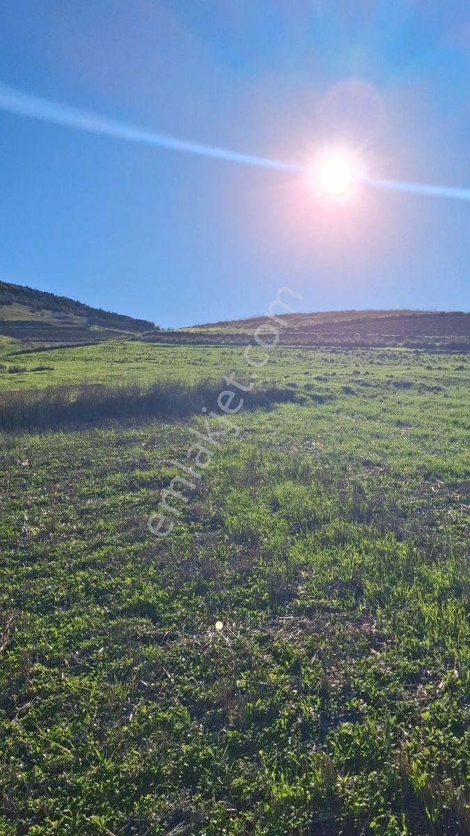 Osmaneli Medetli Köyü 1.850m2 Resmi Yolu Mevcut.mustakil Parsel. — fotoğraf 12