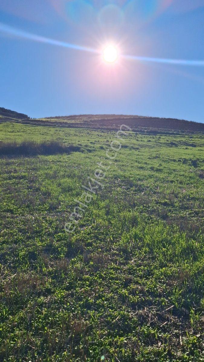 Osmaneli Medetli Köyü 1.850m2 Resmi Yolu Mevcut.mustakil Parsel. — fotoğraf 13