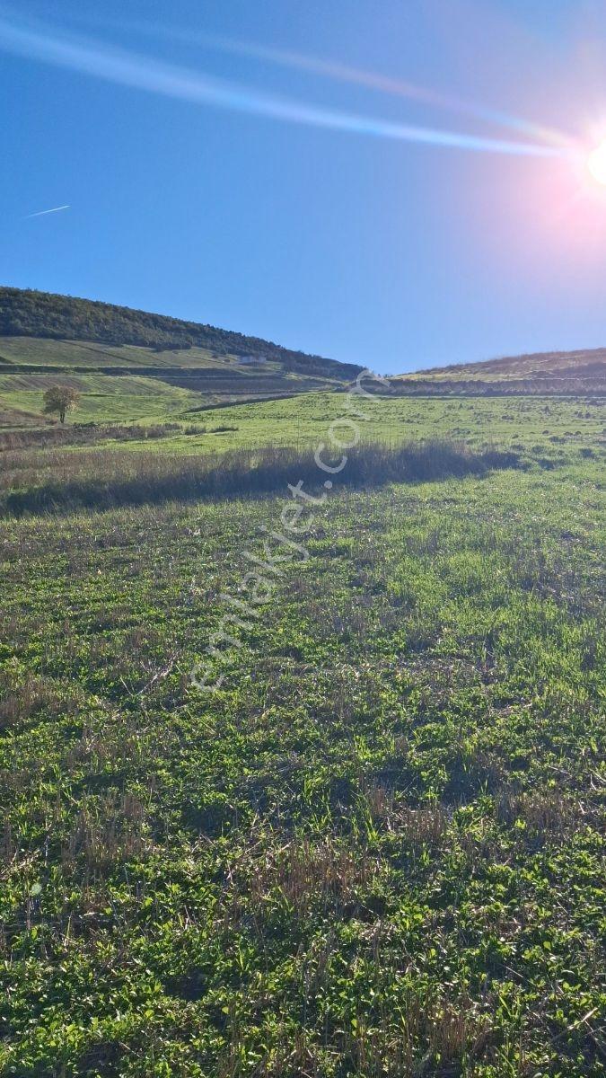 Osmaneli Medetli Köyü 1.850m2 Resmi Yolu Mevcut.mustakil Parsel. — fotoğraf 14