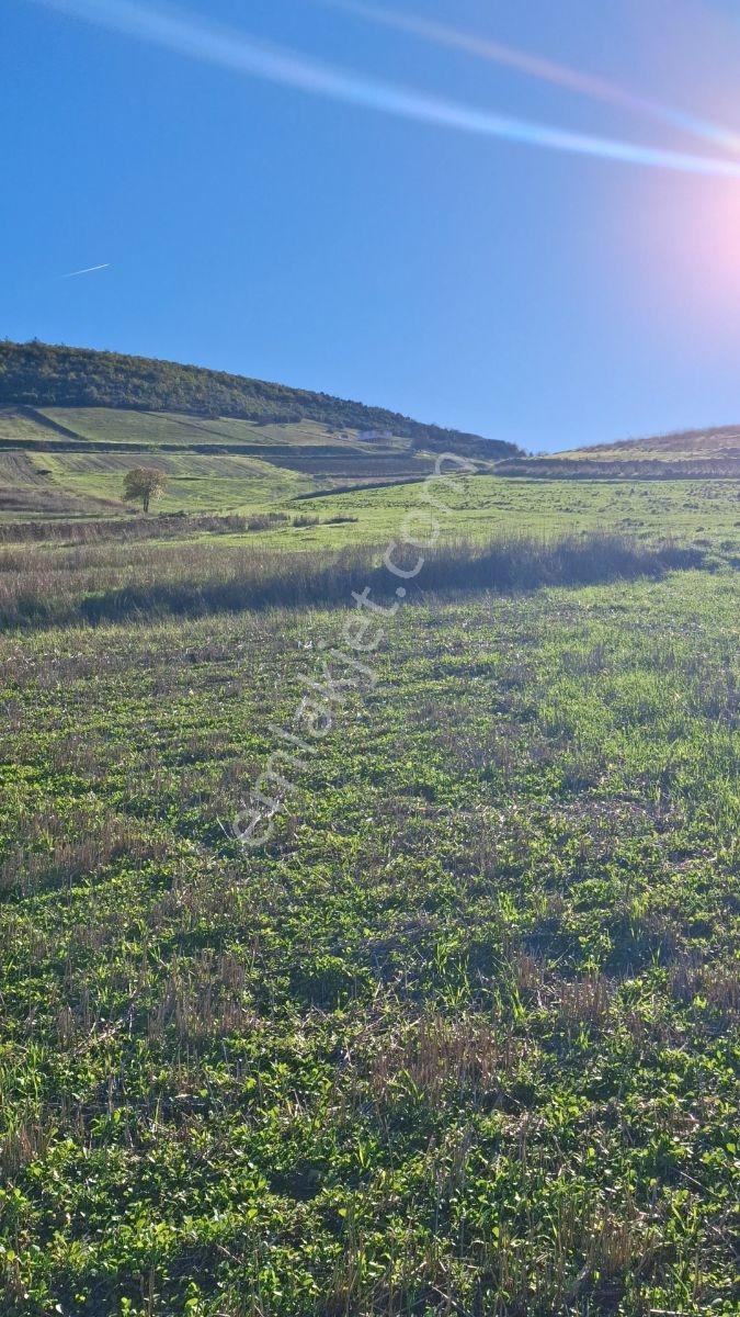 Osmaneli Medetli Köyü 1.850m2 Resmi Yolu Mevcut.mustakil Parsel. — fotoğraf 15