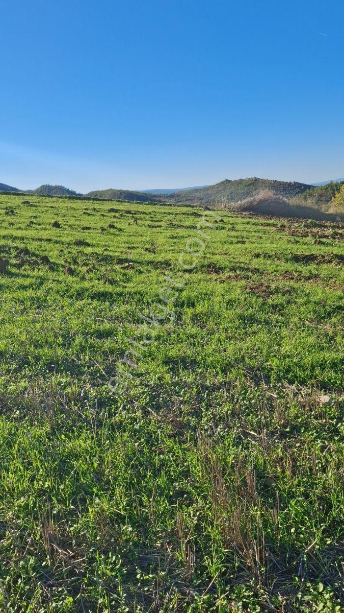 Osmaneli Medetli Köyü 1.850m2 Resmi Yolu Mevcut.mustakil Parsel. — fotoğraf 16
