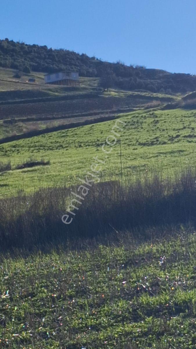 Osmaneli Medetli Köyü 1.850m2 Resmi Yolu Mevcut.mustakil Parsel. — fotoğraf 17
