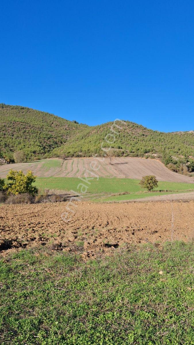 Osmaneli Medetli Köyü 1.850m2 Resmi Yolu Mevcut.mustakil Parsel. — fotoğraf 19